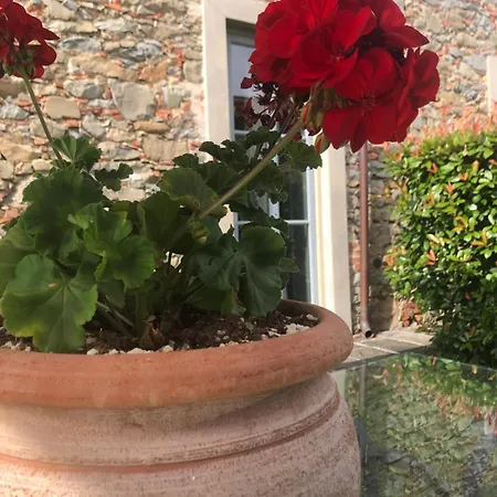 Aparthotel Tenuta Guinigi Antico Borgo Di Matraia - Exclusive Holidays & Pool